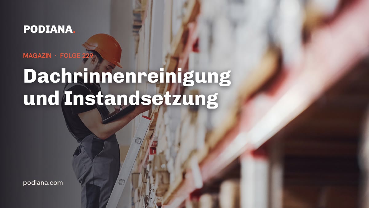 Cover: Dachrinnenreinigung und Instandsetzung