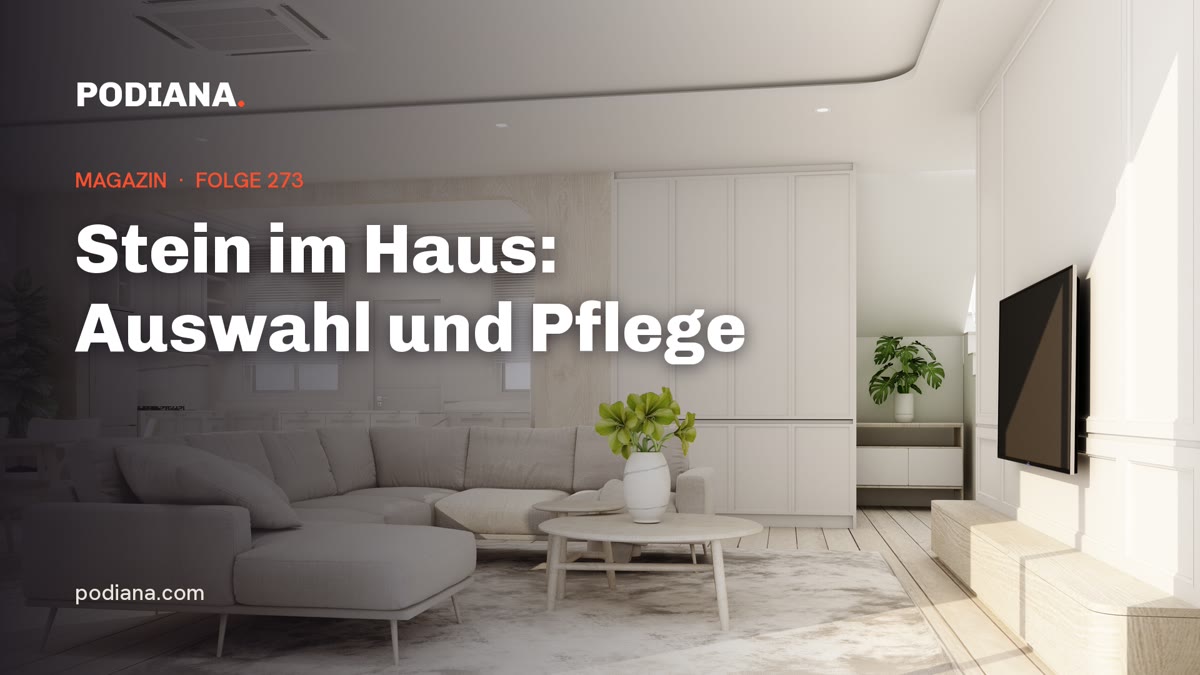Cover: Stein im Haus: Auswahl und Pflege