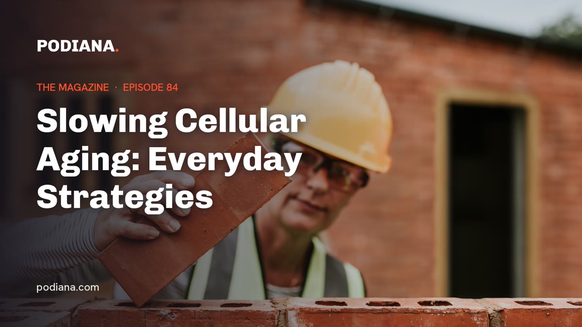 Cover: Slowing Cellular Aging: Everyday Strategies