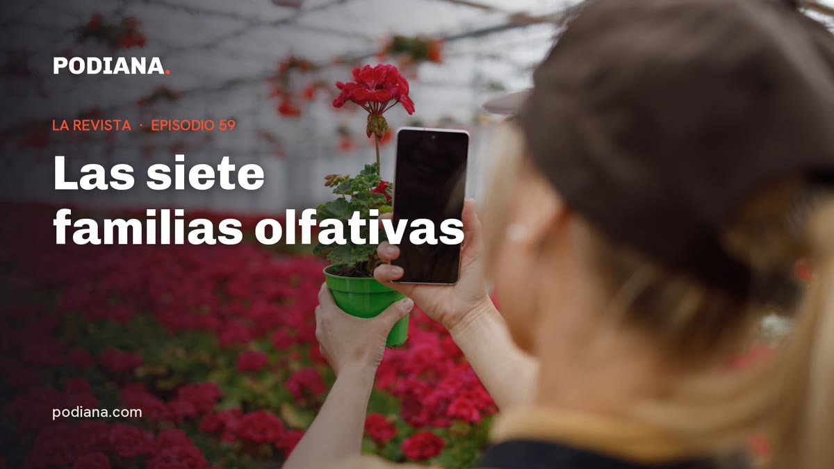 Cover: Las siete familias olfativas