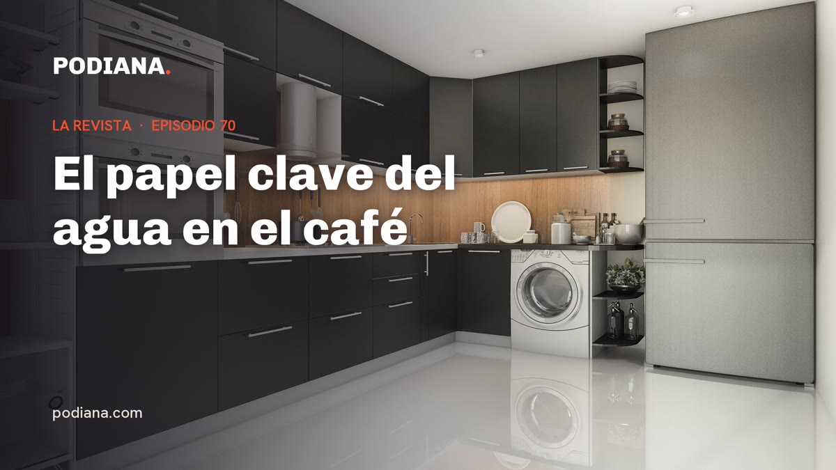 Cover: El papel clave del agua en el café