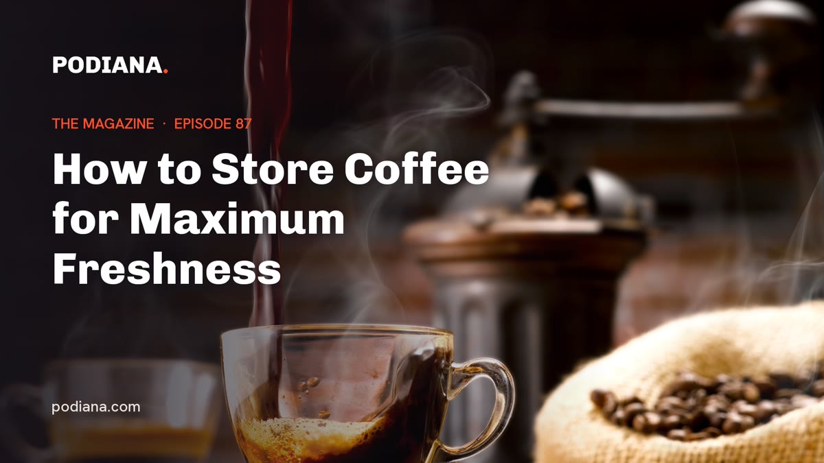 Cover: How to Store Coffee for Maximum Freshness
